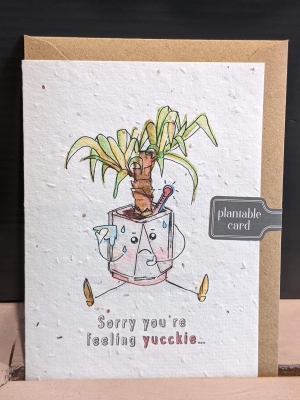 Plantable Card   Sorry You're Feeling
